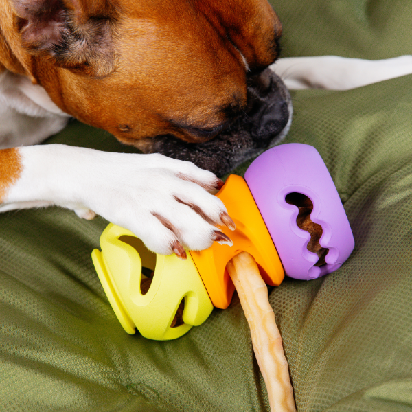 WAGLAB The Bully — Modular Treat Dispensing Dog Toy