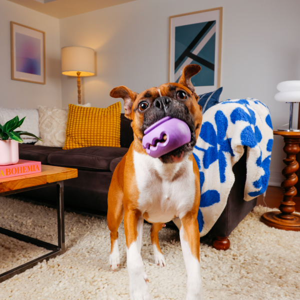 WAGLAB The Squiggle — Modular Treat Dispensing Dog Toy