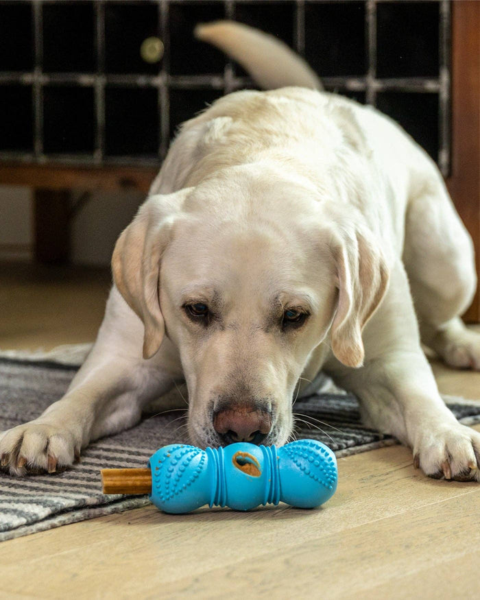West Paw Flossr™ Dental Chew Toy & Treat Holder for Dogs – Large, Tangerine