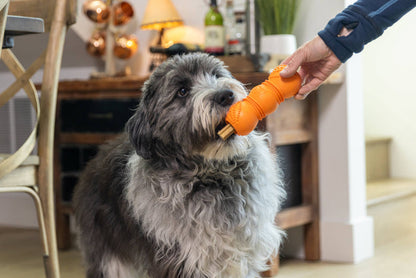 West Paw Flossr™ Dental Chew Toy & Treat Holder for Dogs – Large, Tangerine