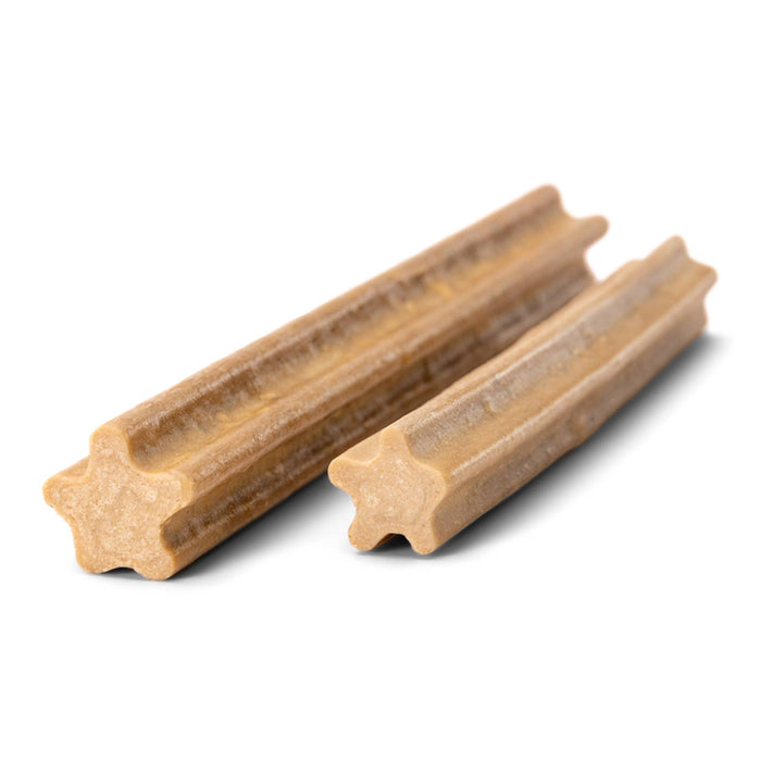 West Paw Natural Dental Sticks for Dogs – Parsley, Mint & Apple
