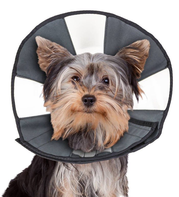 ZenCone Soft Recovery Collar with Windows by ZENPET for Comfortable Pet Healing - Dog.Dog.Cat.