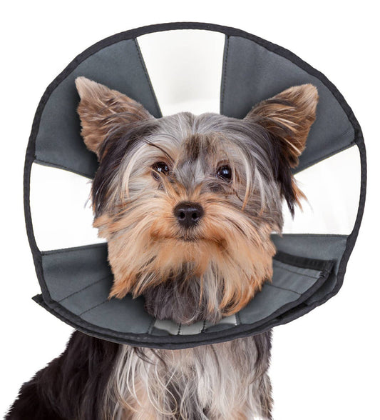 ZenCone Soft Recovery Collar with Windows by ZENPET for Comfortable Pet Healing - Dog.Dog.Cat.